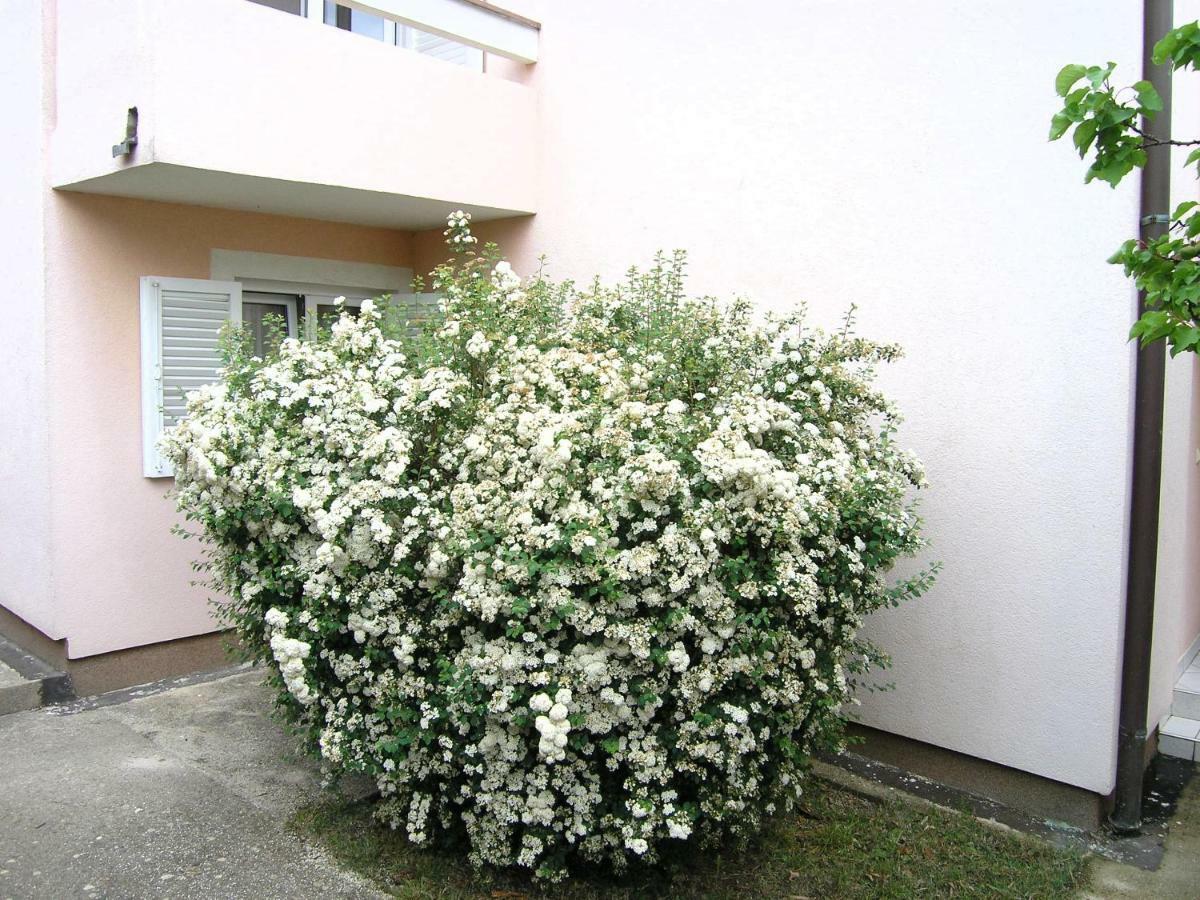 Apartments Sokolovic 크르크 외부 사진